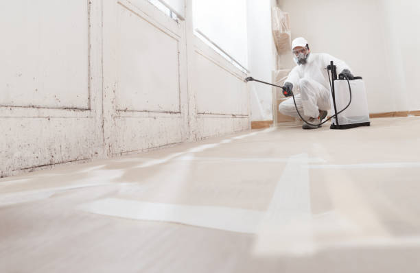 24/7 Emergency Mold Remediation experts in Meridian, CO
